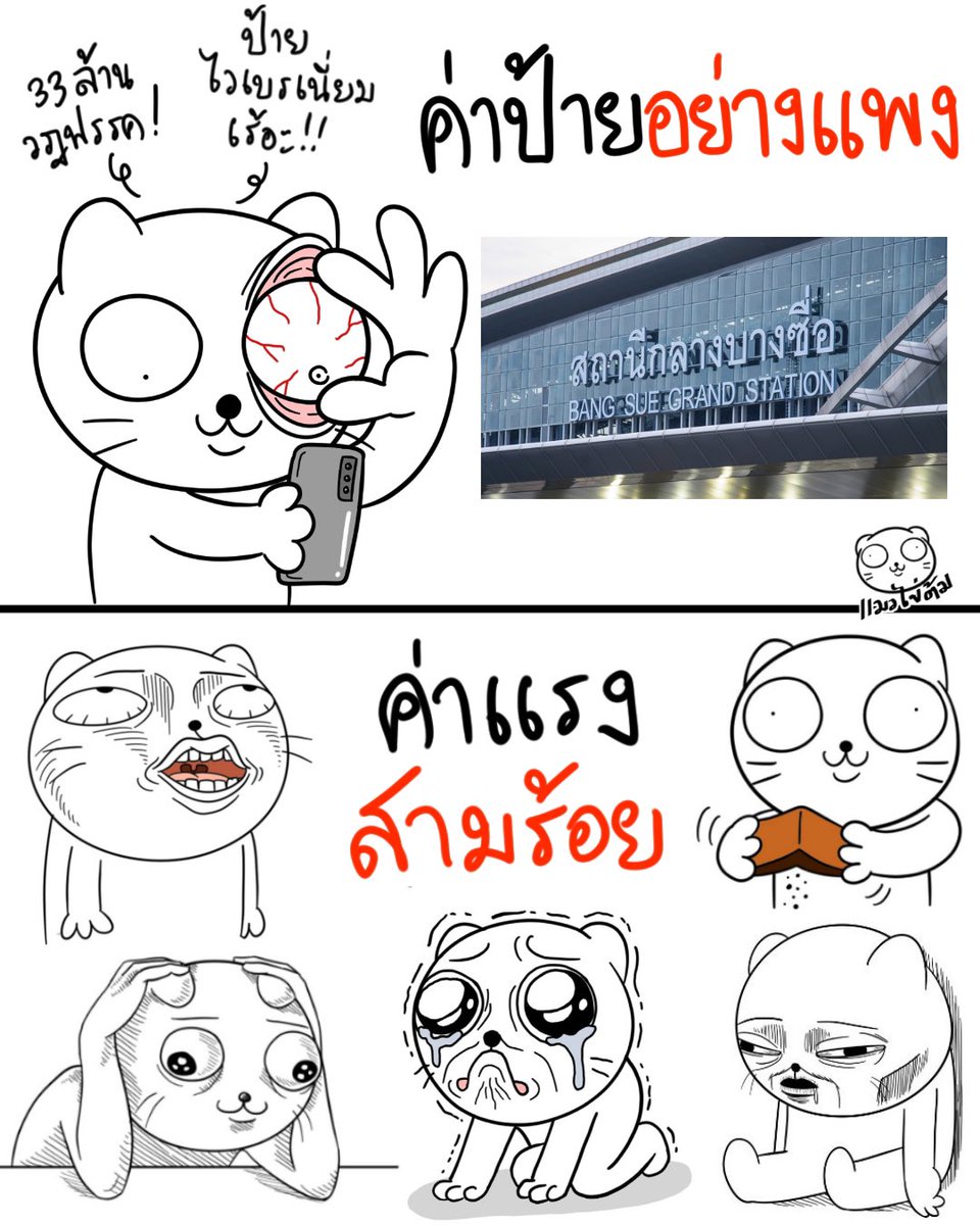 แมวไข่ต้ม tweet media