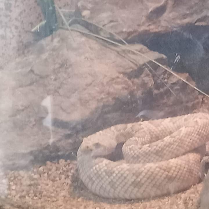 DrakeFowler18's tweet image. 