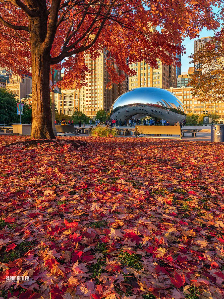 Barry Butler Photography tweet media