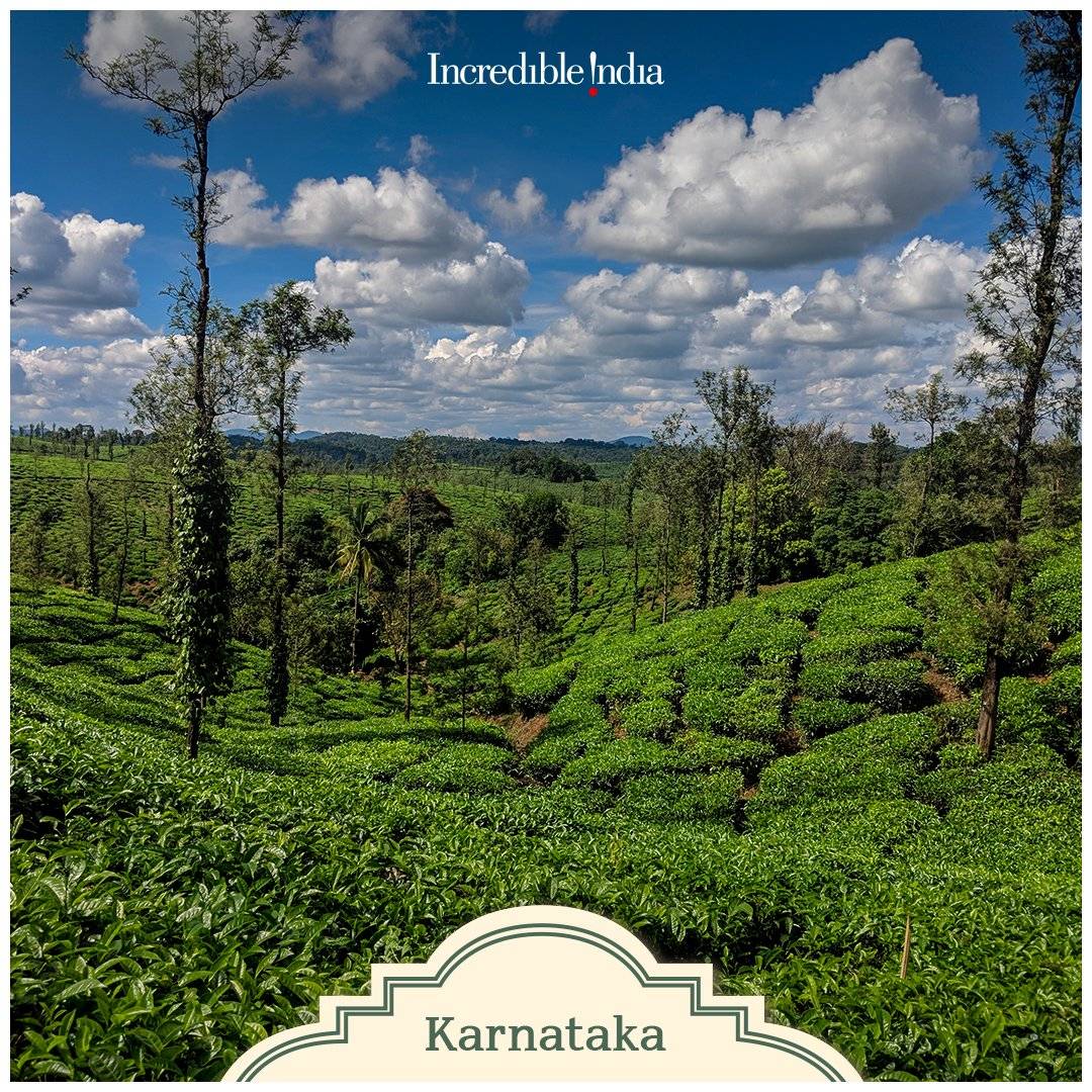 NikhilparmarBJP's tweet photo. Soak in the subtle aroma of premium teas as you set out to explore the tea trails across India.

@TripuraTourism  @Assamtourism @KarnatakaWorld 

#DekhoApnaDesh https://t.co/9cWy3CVXDW