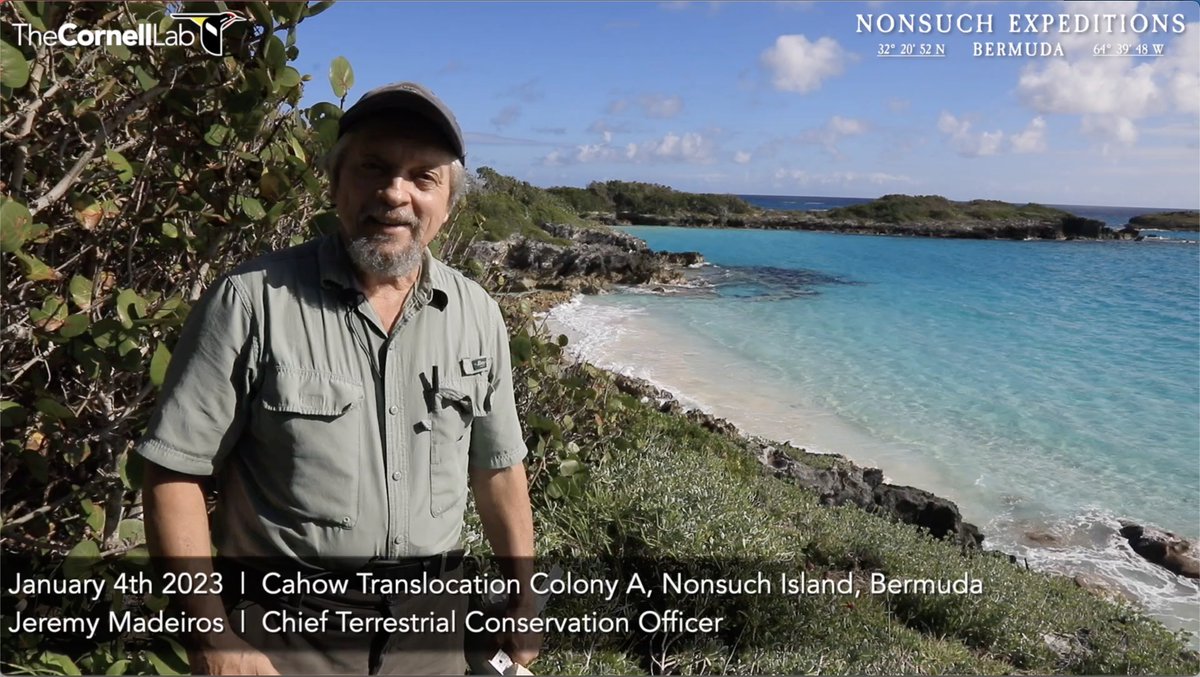 Nonsuch Expeditions tweet media
