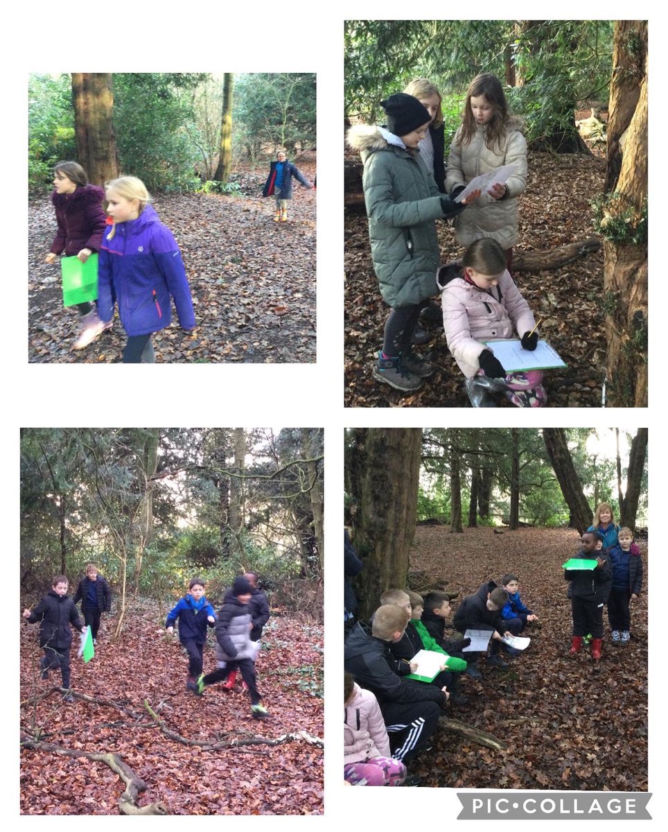 Bollinbrook CE Primary School tweet media