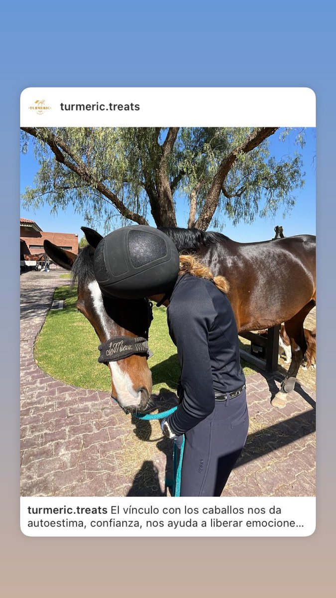 ferurteaga's tweet photo. Construir un vínculo con el caballo, es construir un vínculo con nosotr@s mism@s.
Estamos al otro lado del espejo.. https://t.co/hGz2VNAVe7
