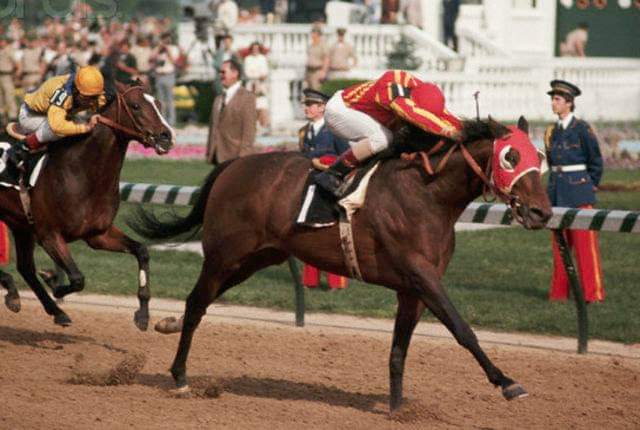 HORSERACING1002's tweet photo. CANNONADE 🇺🇸1971
(BOLD BIDDER -QUEEN SUCREE BY RIBOT)#Cannonade https://t.co/OWcN2wnxnp
