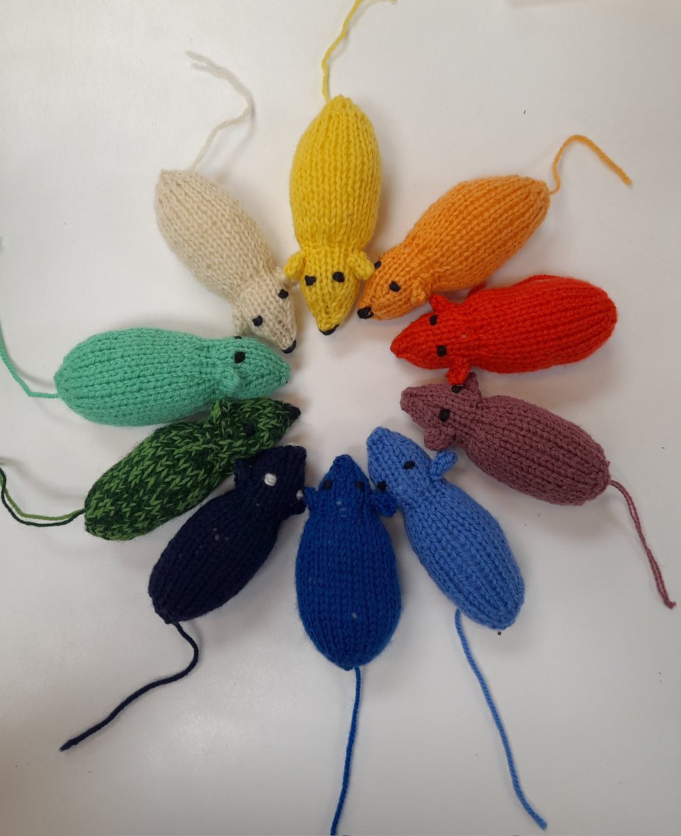 CatsKeighley's tweet image. Our catnip cats and catnip mice are topped up thanks to our pawsome customer! 

So why not pop in and catch one whilst you can 😻

#catniptoys #homemade #donation #catsprotectionkeighley #catsoffacebook #catsofinstagram #CatsOfTwitter