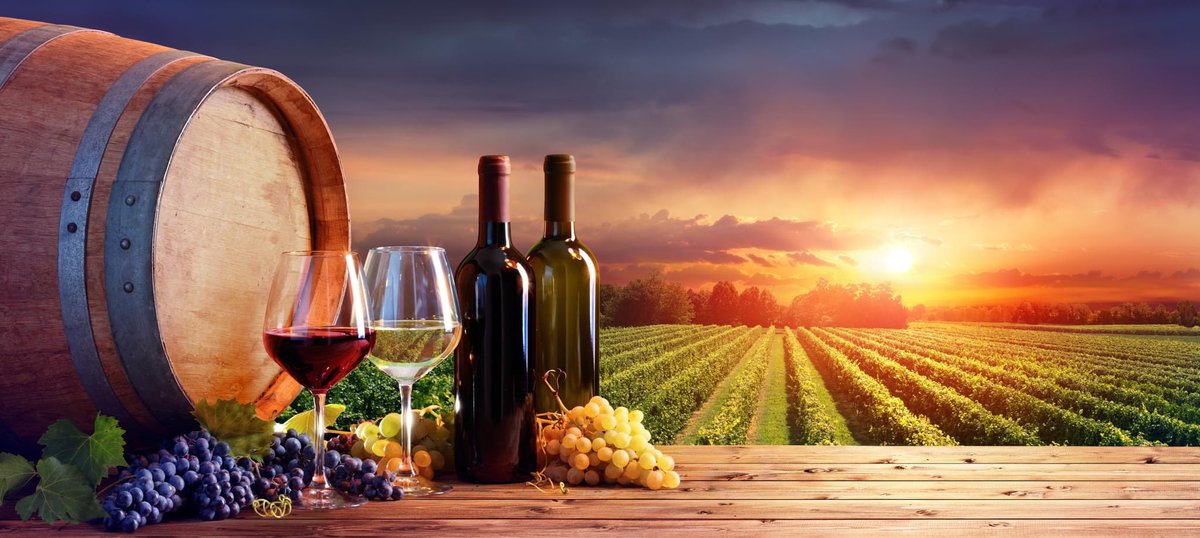 MageMotionGroup's tweet photo. Why we love wineries.
2/3 Many wineries also offer tours and tastings, which can be a fun and educational experience for those interested in learning more about wine and the winemaking process. 
https://t.co/fe07k5O0Q4
#wineries #southaustralia #wineryclub https://t.co/WcR2c5HmeW