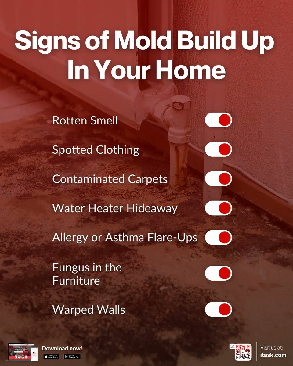 iTaskAppCanada's tweet image. The presence of mold and mold spores in the air might have detrimental consequences on the respiratory system. Make sure to take extra precautions to Prevent your molds from forming in your home. 

#iTaskApp #iTaskServices #iTasker #iTaskAppCanada  #banff #vancouver #toronto