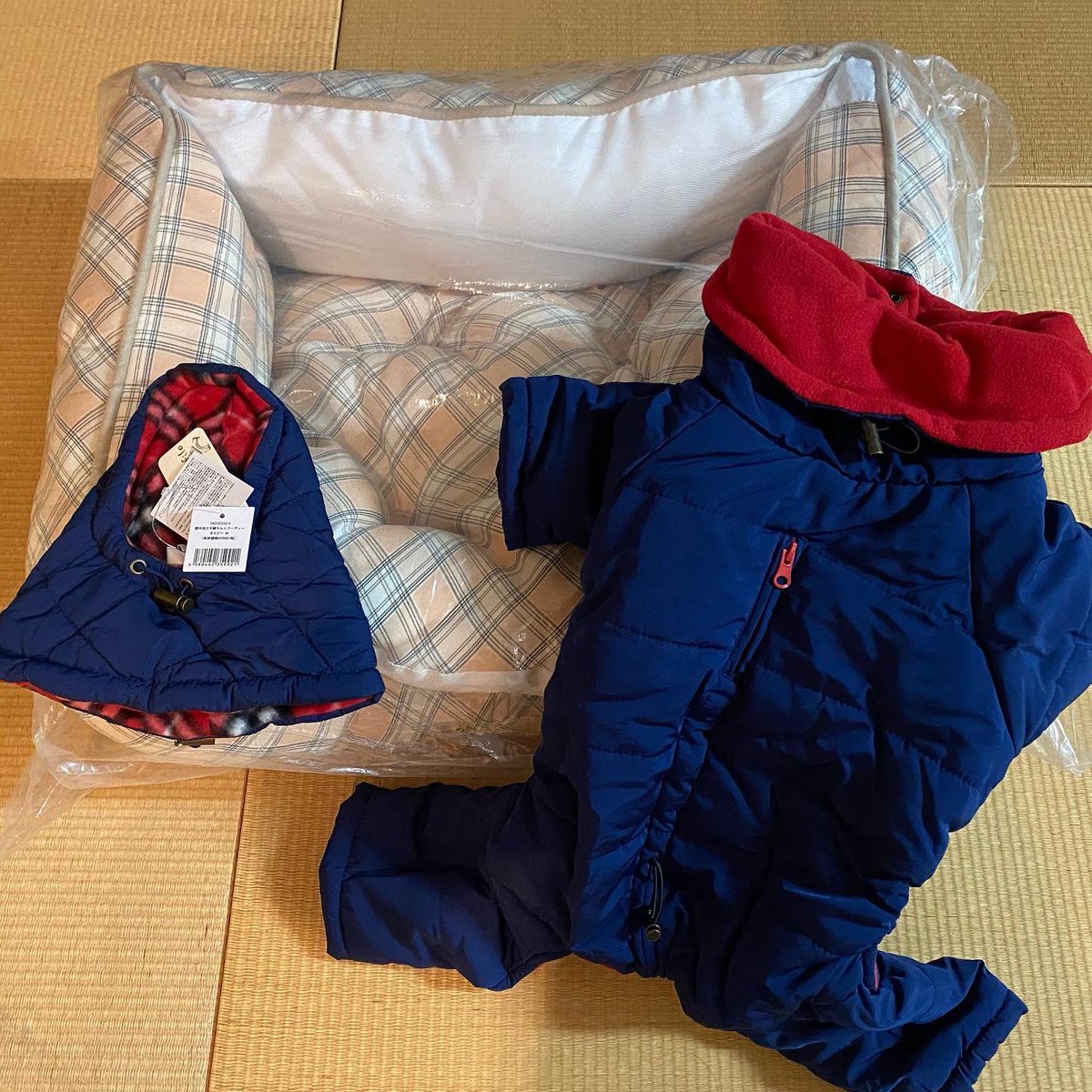 sobajima97's tweet photo. 我が家のレオくん、無事一歳の誕生日を迎えました!
馬の蹄をバリバリ
鹿の角をガリガリ
本当、レオは今までの子たちと違って弟って感じ(笑)
ちょうど初めて買った #Cinofilo さんの #福袋 が届いて良かった〜
#イタグレ https://t.co/rxO85tZHnO