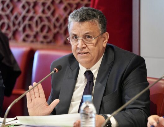 MahdiBaladi's tweet photo. 🇲🇦▪️ الحملة ستكون اليوم على الساعة السادسة مساءا الحاضر يعلم الغايب. 
#هاشتاغ #2 #شارك و #انسخ 

#محاكمة_وهبي_مطلب_شعبي https://t.co/4DNyZ1tgQ3