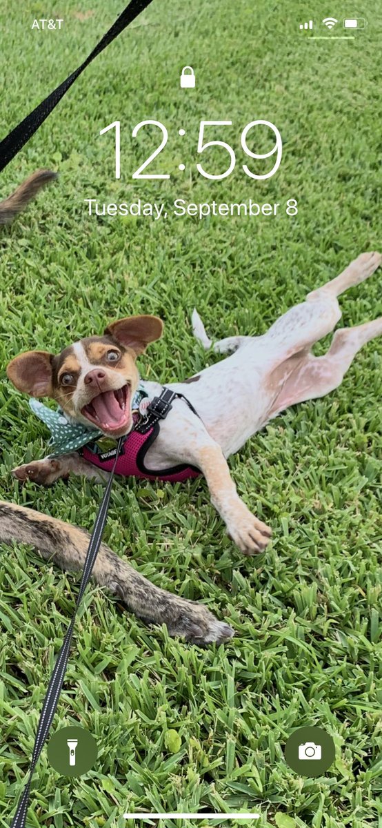 Leane Krause tweet media