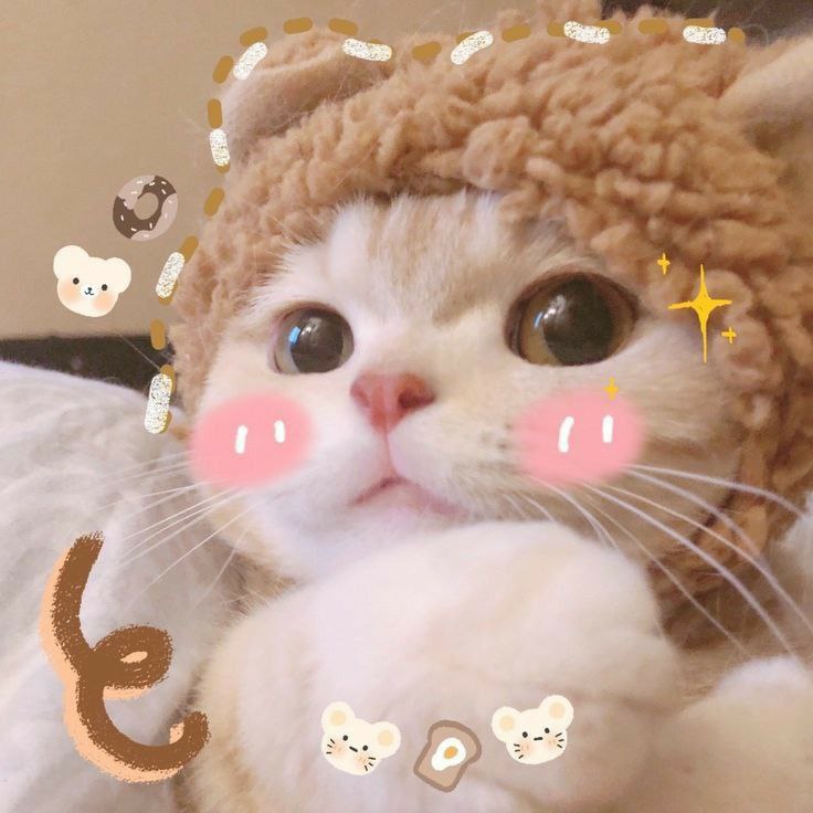Teagan39738772's tweet photo. รักเรามั้ยนุด เราขออ้อนหน่อยนร้าาาาาาาาาา🐷 https://t.co/9HiF7JwuDS