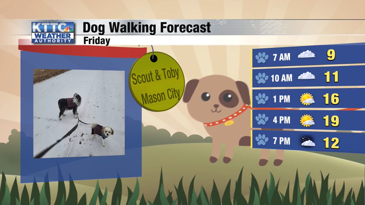 It's going to be a bright and cold day for a dog walk. There will be some fog around the area until mid-morning and then mostly sunny skies will be the rule in the afternoon. High temps will be in the upper teens with light winds. #DogWalkingForecast #kttcwx #MasonCityIA