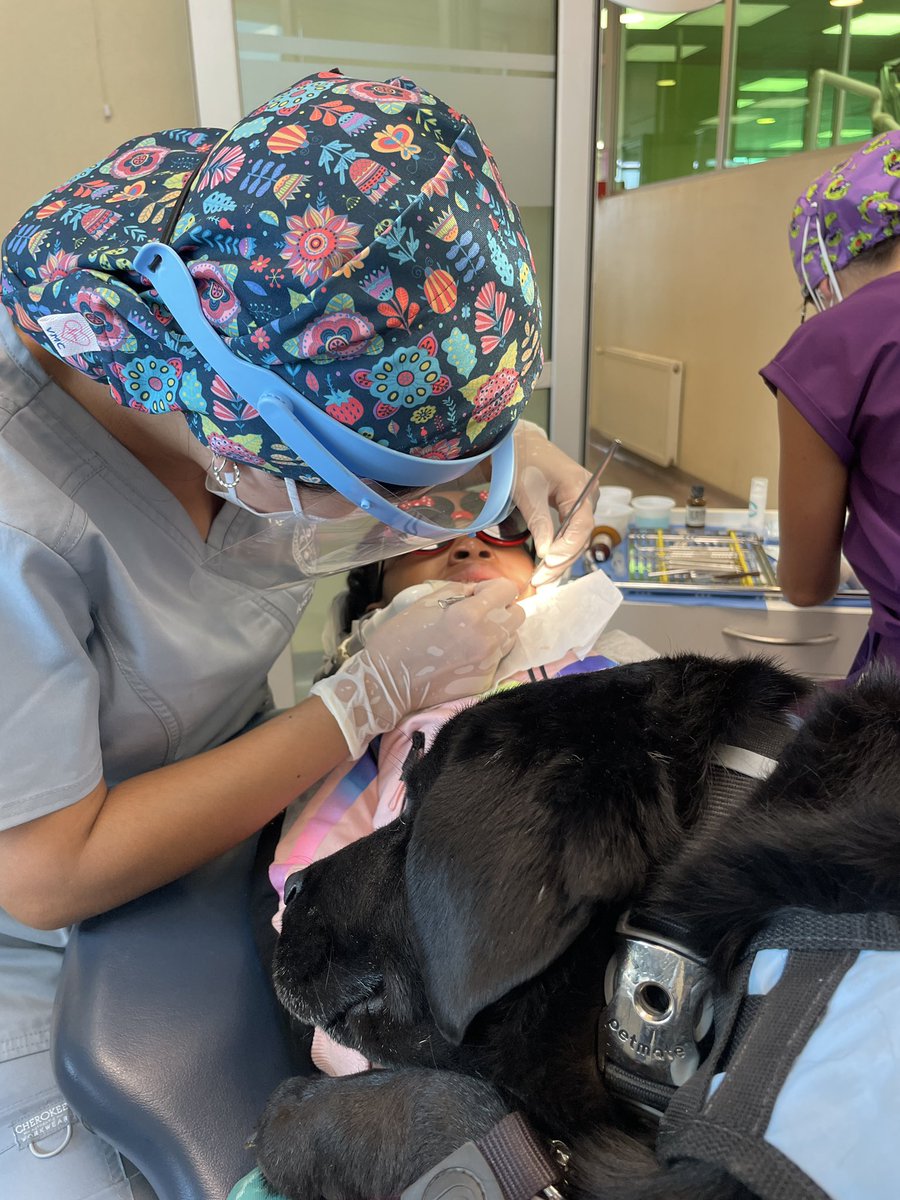 corpjuntoati's tweet photo. #perrodeterapia apoya a niña durante sesión en el #dentista https://t.co/B8WGHOCs9h