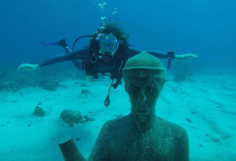 Pilot4DEV tweet media