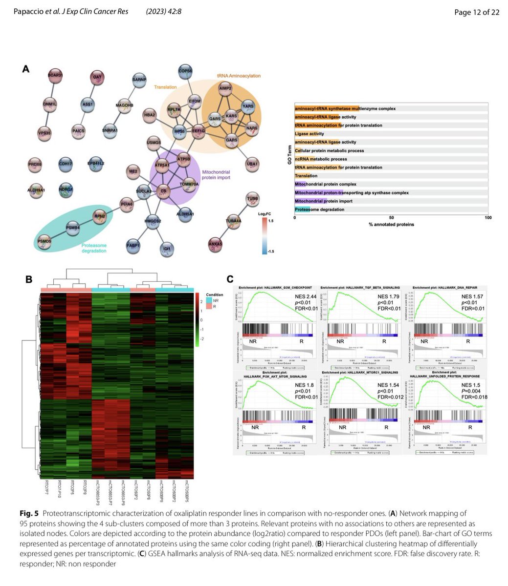 👉 Just out our paper 📄on the role of organoids 🧫 as a tool to guide precision medicine in advanced colorectal cancer patients
<a href="/GVAclinic/">Hospital Clínic de València</a> <a href="/incliva_iis/">INCLIVA</a> 

📌 Are organoids the future of medical research❓

✔️Don’t miss reading it👇
pubmed.ncbi.nlm.nih.gov/36604765/