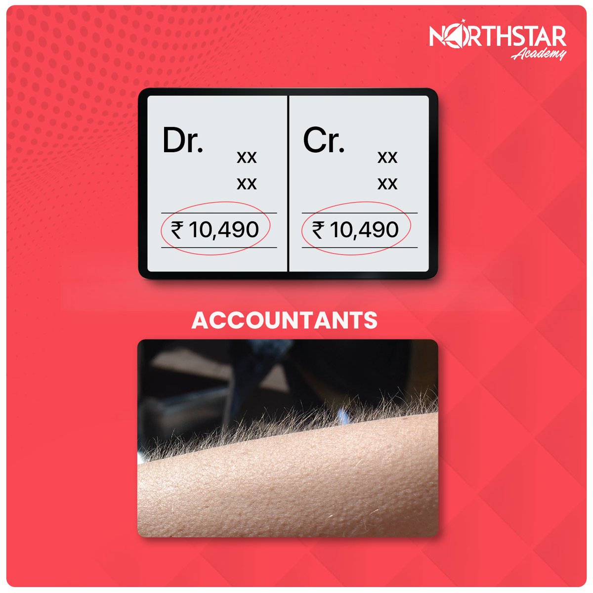 NorthStar_Acad's tweet photo. All accountants will relate🙃
#justaccountantthings #accountinghumor #meme #camemes #commerce #accountants https://t.co/I6jJjRekoS