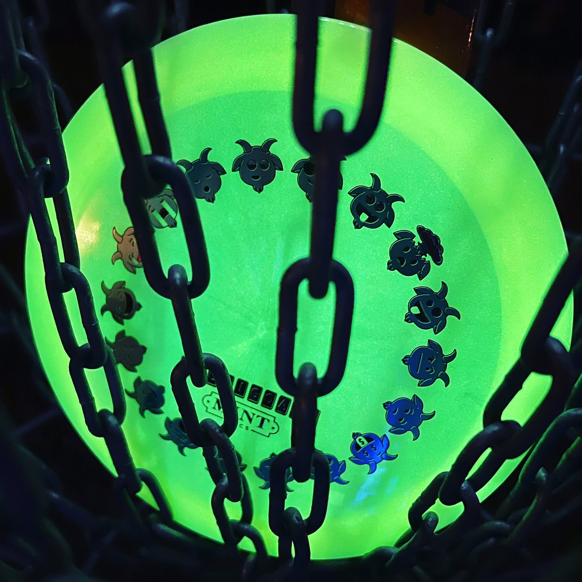 3CDiscs's tweet photo. It’s GLOAT day! Mint Glow Goat dropping on the site at 10am, today! Get yours before they are gone! Still lots of night golf left this winter…. #mint #mintdiscs #3cdiscs #discgolf #staymint #discgolf #dg #gloat #discgolflife #discgolfeveryday #discgolfislife https://t.co/T0U82QfoRO