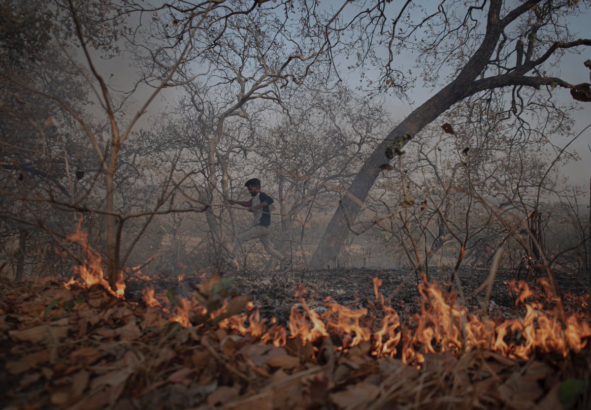 sprfindia's tweet photo. In his photo essay titled 'Up in Smoke—The Increasing Trend of Forest Fires in Uttarakhand,' @Umar_Altaf_ takes a closer look at the indigenous communities affected by forest fires. https://t.co/qPNBWupGXh