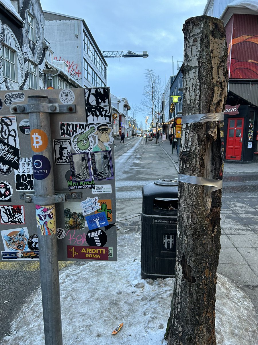 BitcoinBrus's tweet image. Planted some #Bitcoin in Reykjavík, Iceland 🇮🇸