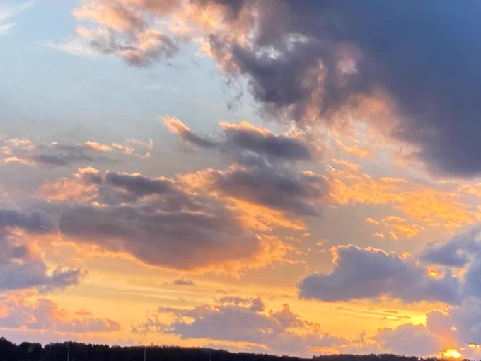 今日は夕日が綺麗だったんだ。 