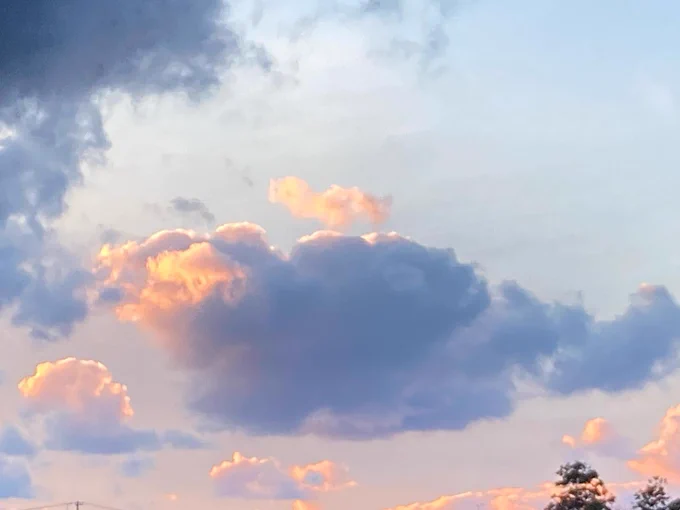 今日は夕日が綺麗だったんだ。 