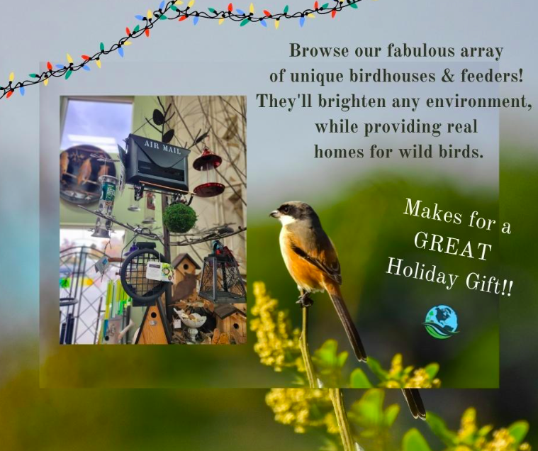 WorldOutdoorSTC's tweet image. This gift is for the birds... and bird lovers... and those who want to wake to the sweet sounds of birds singing their morning tunes.🐦🎵🎶 #BirdFeeders #Statuary #OutdoorDIY WOE.rocks
