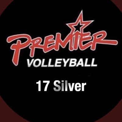 Premier NE 17 Silver tweet media