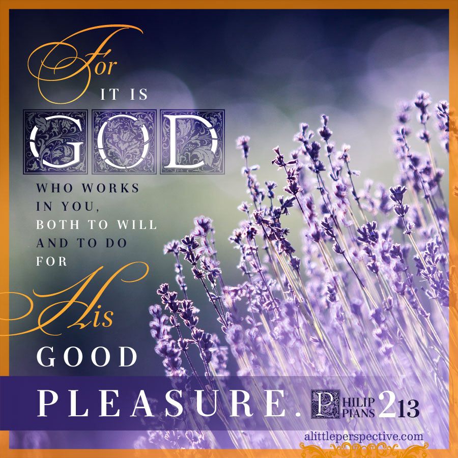 for it is God who works in you both to will and to do for His good pleasure. - Philippians 2:13 (NKJV)