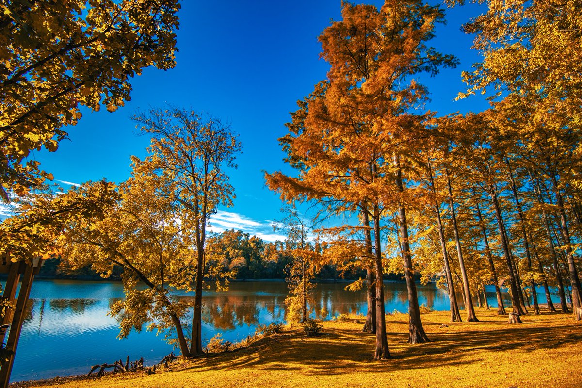 RoderickPowell's tweet photo. A day on the river. #photography #Lightroom https://t.co/zMysHUlMzt