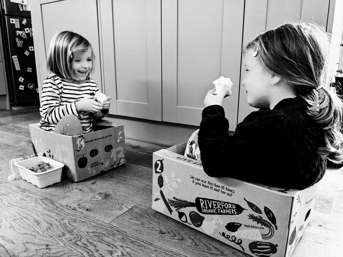 Devin Gray tweet media