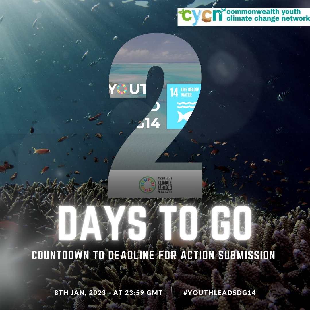 ⏰ £1000 up for grabs - 2 more days to stand a chance to win 🎯 Submit Your actions today! . . ___ #youthleadsdg14 #sdg14 #CommonwealthYouths #cycn #cc #Bluecharter #climateaction