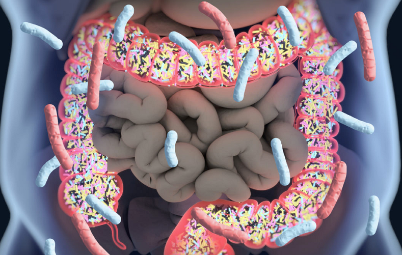 drdozellodc's tweet photo. My Anti-Candida Nutritional Strategies
Dr Donald A Ozello DC of Championship Chiropractic
#vegas #chiropractor #chiropractic #nutrition #diet #candida #anticandida #dysbiosis #microbiome #microbiota #guthealth #supplements https://t.co/xvtd34RGJ3 https://t.co/PxRovb5a5E