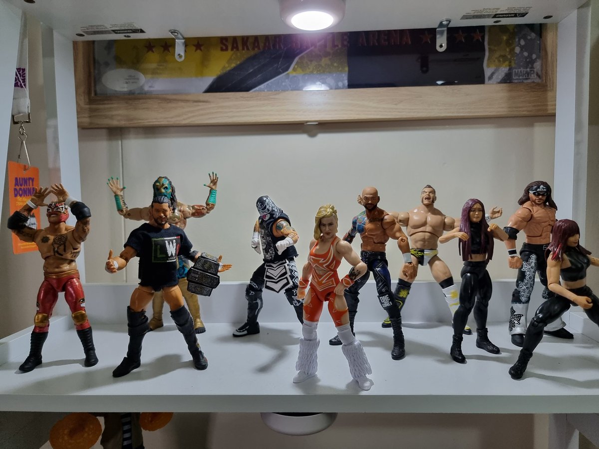 The #LuchaUnderground shelf looking good.

Who should I add next? 

@maskedrepublic @LuchaCentralCom