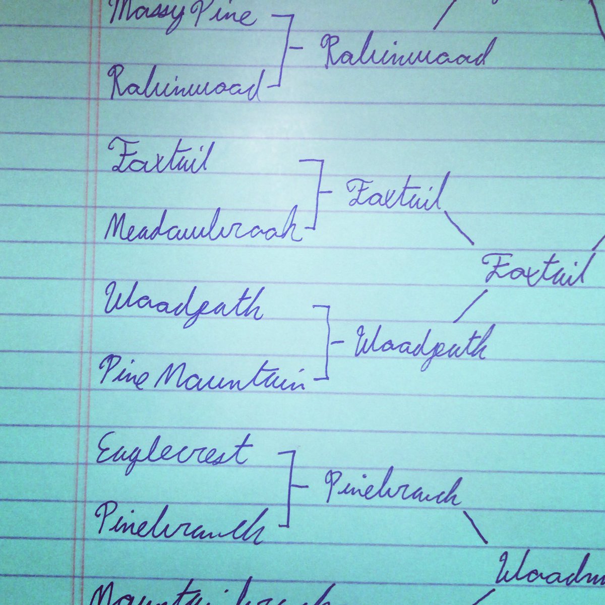MeganRoseFawkes's tweet image. Does anyone else name things like this? Where you just pick a bunch of names and throw them into a tournament bracket to pick your favorite? I do!
#writingcommunity #writingtipsandtricks