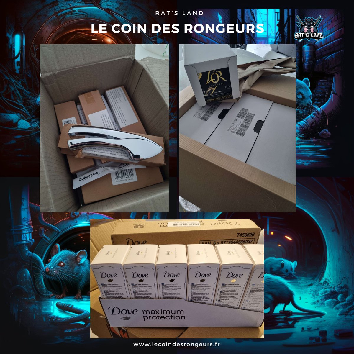 RatsLand's tweet photo. De belles #erreursdeprix, #optimisations et d’incroyables #bonsplans qui arrivent chez nos membres #discord ! 🐀💙
N’attends plus ! Rejoins-nous vite :
➡️https://t.co/1p79smhynj
#bosch #lorexpresso #nike #hp #dove #sneakers #edp #ratsland #ASUS https://t.co/gHIzF1vXRr