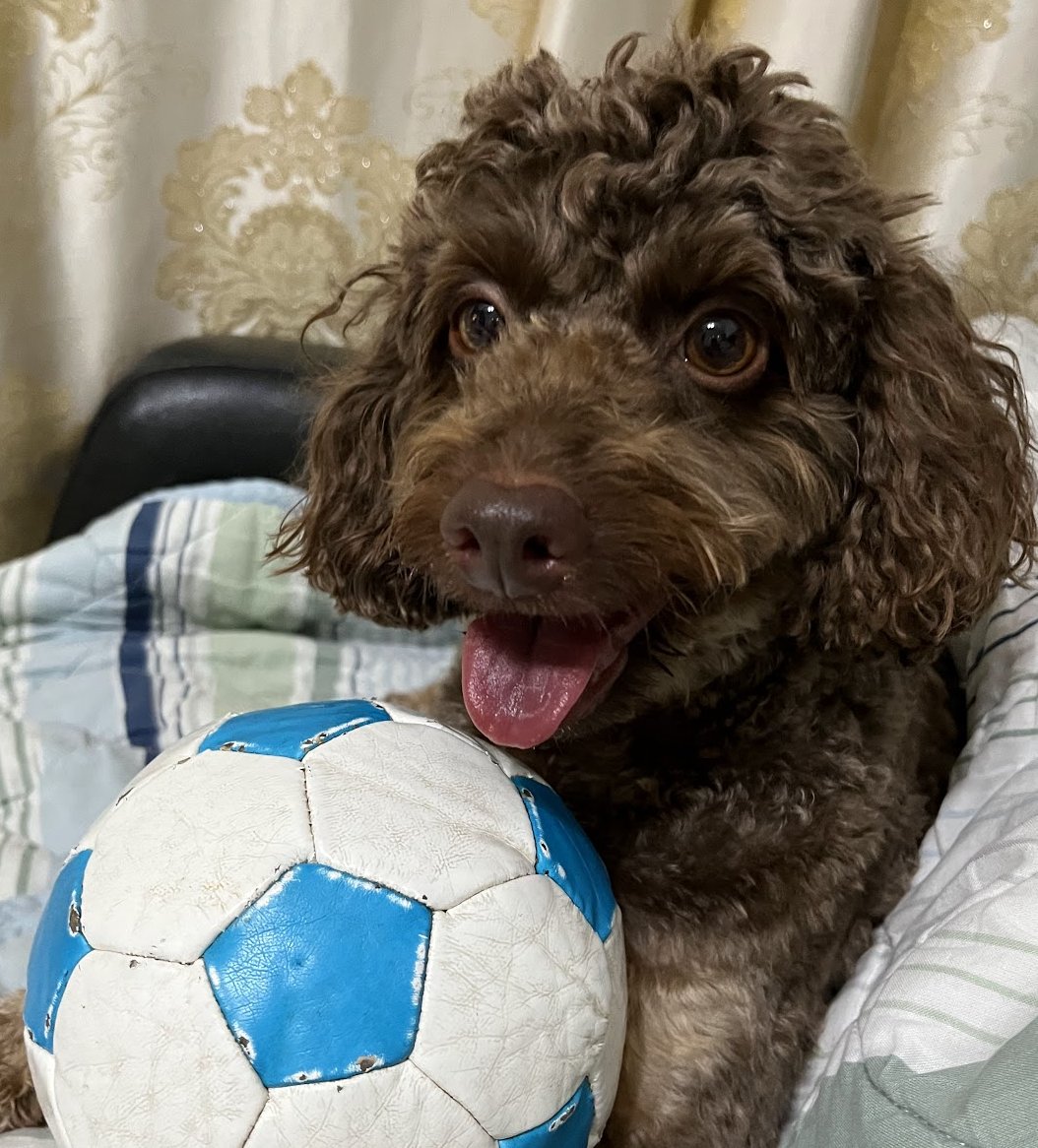 1Leetcode's tweet image. 勉強開始
linked list