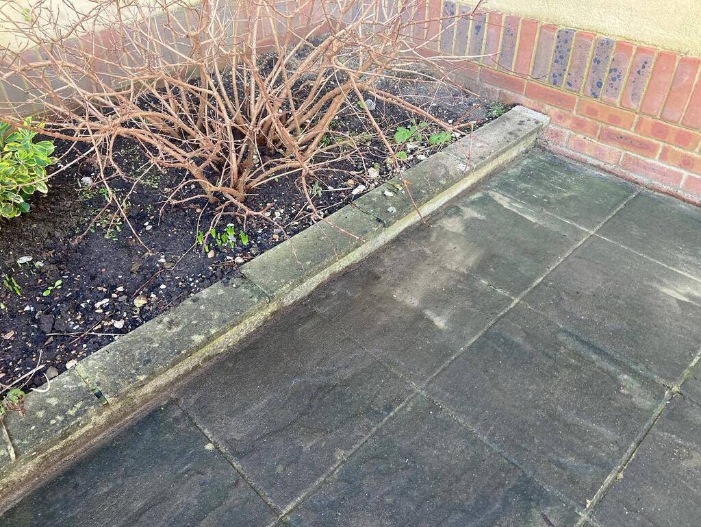 Garden Thyme Ltd tweet media