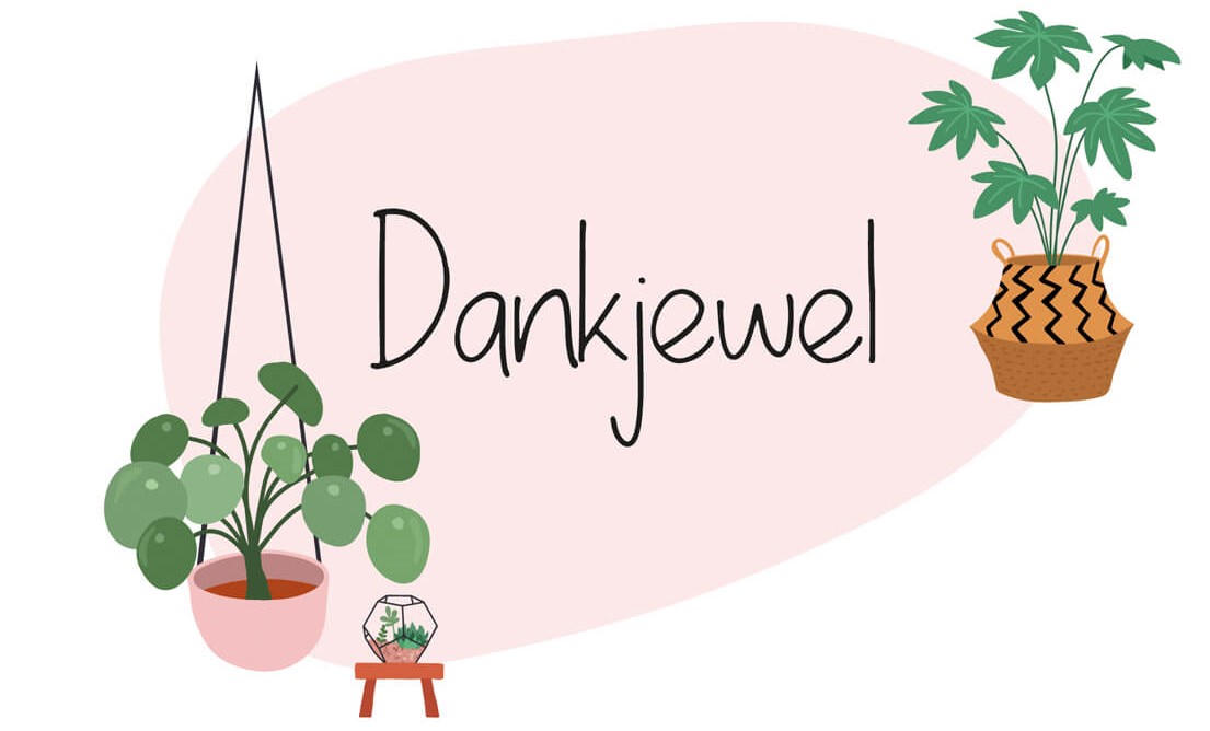 MamaPowerrrr's tweet image. Lieve allemaal! Dank jullie wel voor jullie reacties! Op hoop van zegen dat de huisarts het goed heeft en ik er met &quot;gewoon&quot; uitzieken weer boven op kom! Voor iedereen die ook #Ziek is heel veel #Beterschap gewenst! Zorg goed voor jezelf! En pak rust waar mogelijk! #DankTweet