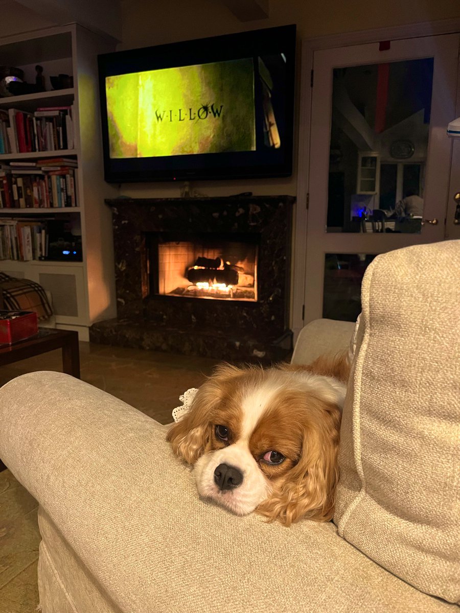 Angelica tweet media