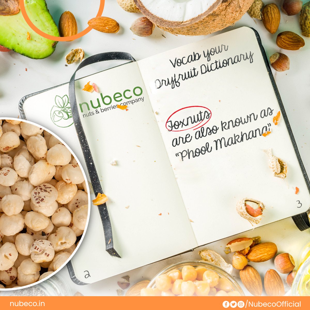 NubecoOfficial's tweet image. #Foxnuts are a great source of #nutrients for every age group. Its effective inclusion in one&apos;s #dietary routine will help in maintaining a healthy body.

#nubeco provides you with such important information on dry fruits to sustain a healthy diet.

 #Makhana #Dryfruitsonline