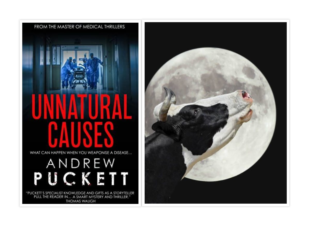 <a href="/Sandy27961933/">Sandy K</a> <a href="/EvilBookLady/">EvilRappLady 🇺🇸🇬🇧</a> You do?  Then why not give this one a try:

My latest is UNNATURAL CAUSES.  Someone adapts Mad Cow Disease so that it infects humans, then uses it to get rid of ... people they want to get rid of

UK:amazon.co.uk/Unnatural-Caus…
US:amazon.com/Unnatural-Caus…
