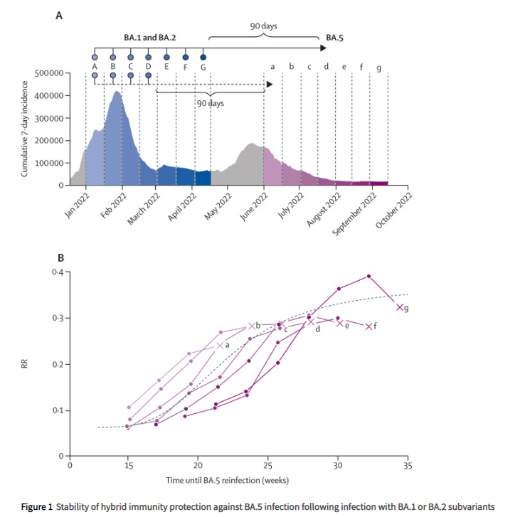 TheLancetInfDis's tweet photo. New correspondence: Stability of hybrid versus vaccine immunity against BA.5 infection over 8 months
https://t.co/CdgJgfqgXd https://t.co/JM27oAyffK