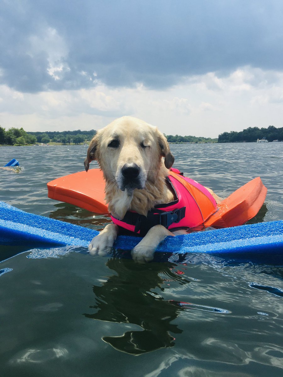 candy__kainz's tweet photo. @CrumblCookies Living her best life https://t.co/zl8ZzgmGnB