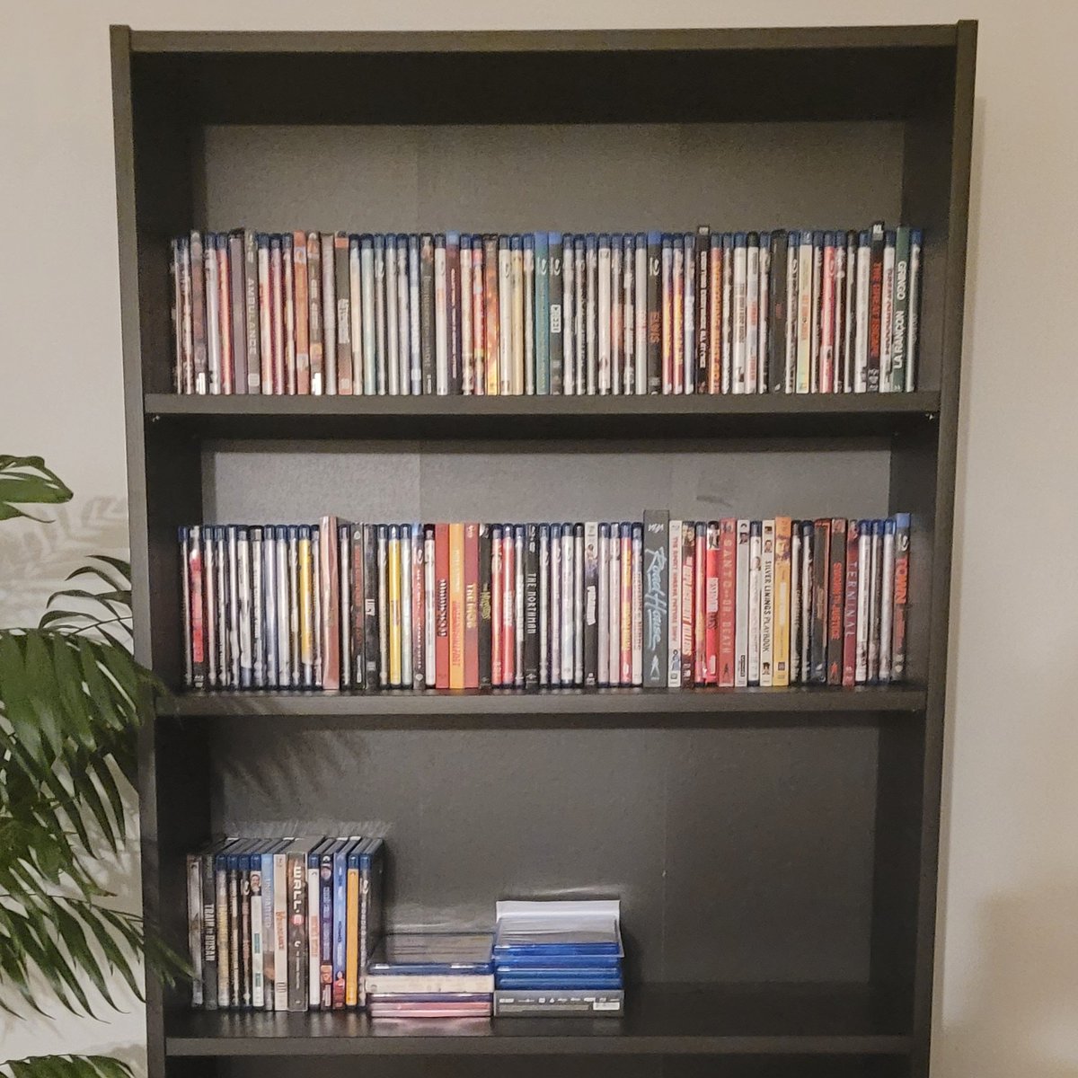 This is just an update on my movie collection. I bought a brand new shelf, organized all my movies, and I have a total of 140 movies in my collection. Let's see how many movies get added to the collection in 2023. #mymoviecollection #bluraycollection