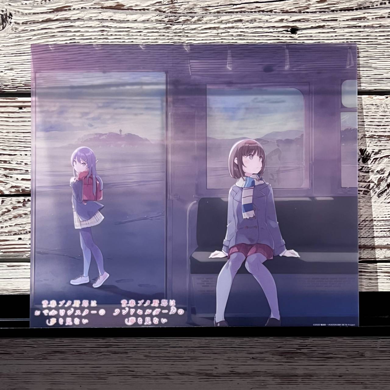 アニメ「青春ブタ野郎」シリーズ公式 on X: 