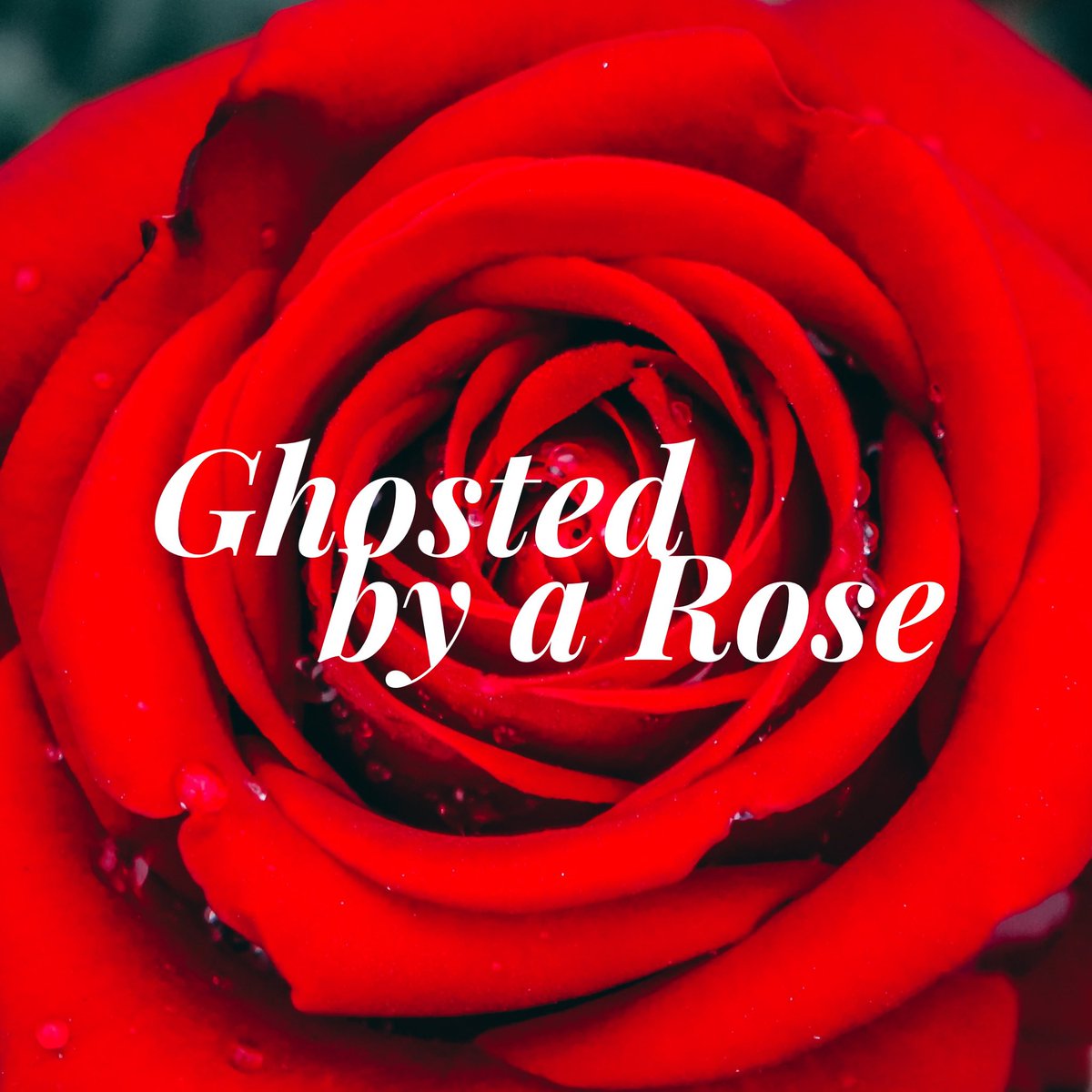 10th episode on the way! amazon.com/dp/B0BJQP1S5Z