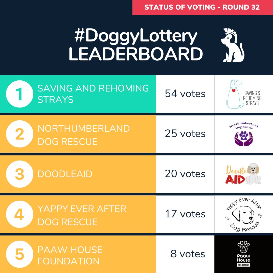 DoggyWarriors tweet media