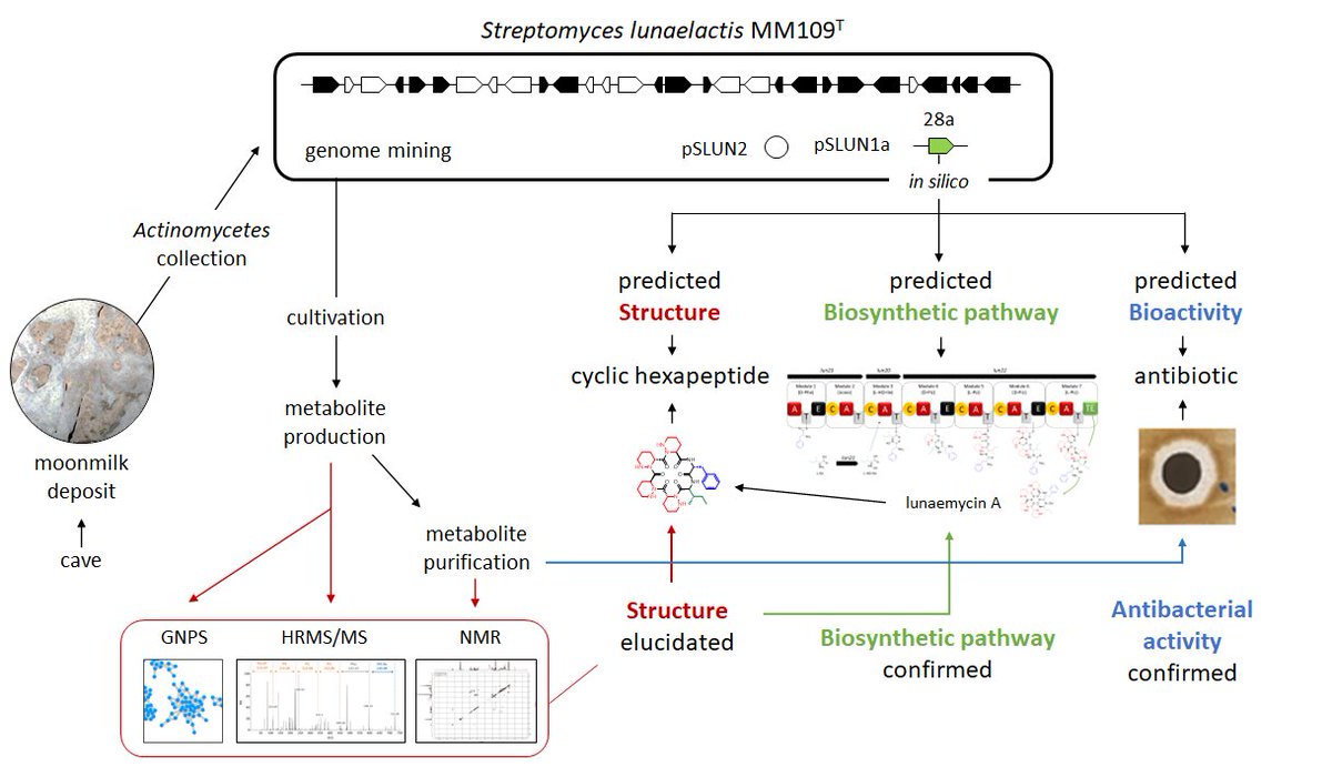 Sébastien Rigali tweet media