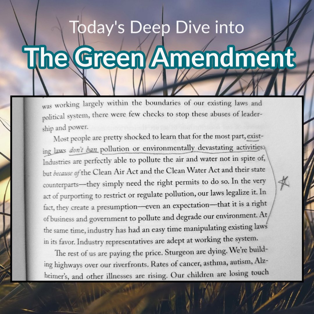 FL_RTCW's tweet photo. This excerpt begs re-posting over and over, as it's the crux of our ah-ha moment, our true fight, our why.
No amount of patience-for-politics will change this legal reality. We the People, through a constitutional amendment, are the only ones who can.
#TheGreenAmendment https://t.co/y6lU6yevHq