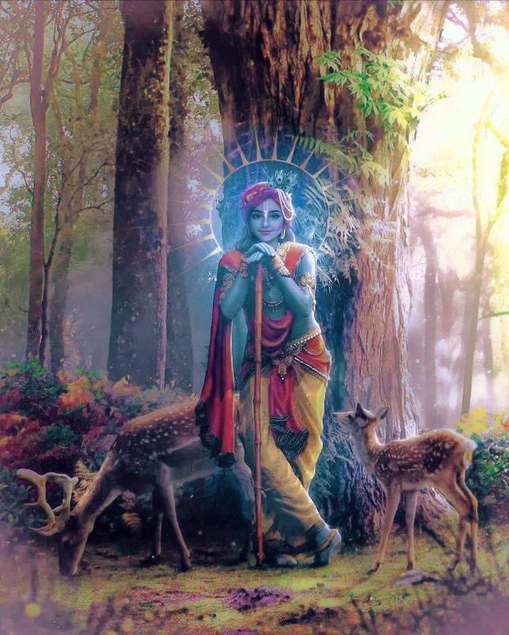KrishnaDharma's tweet photo. Look away from the world and you will see me. https://t.co/eRDUxmmXyB